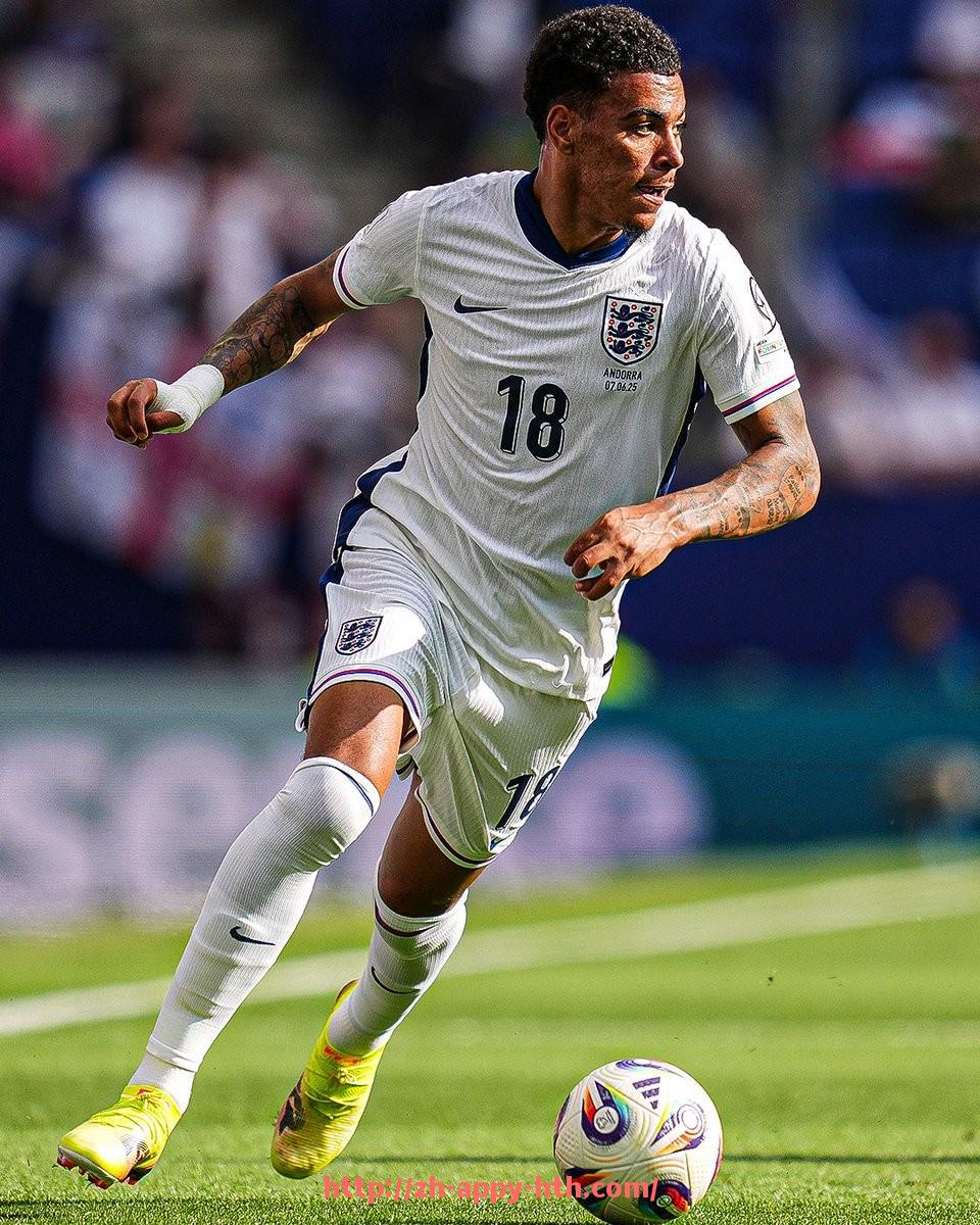 华体会hth官方网站下载-高清西甲视频直播技术解析及未来趋势展望