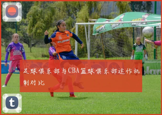 足球俱乐部与CBA篮球俱乐部运作机制对比