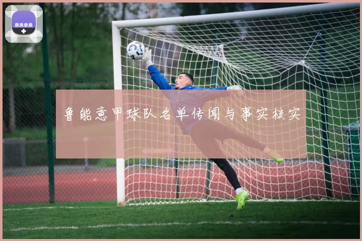 鲁能意甲球队名单传闻与事实核实