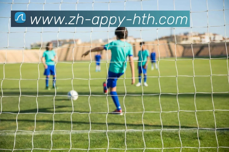 华体会网页版登录入口APP 封面图